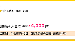 ハピタス4000円分