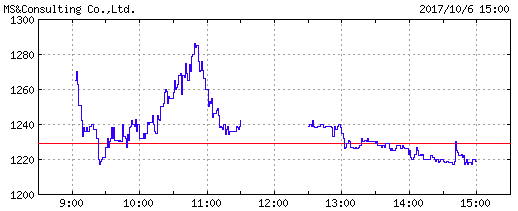 ms&consulting-chart